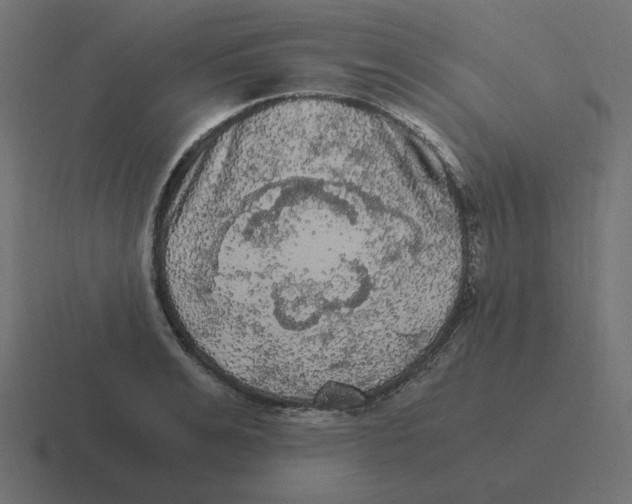 X0000116480991200912292042