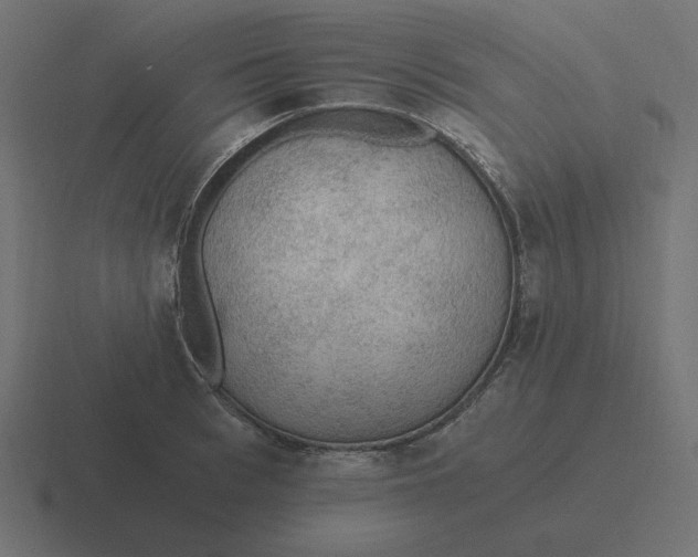 X0000116480993200912292042