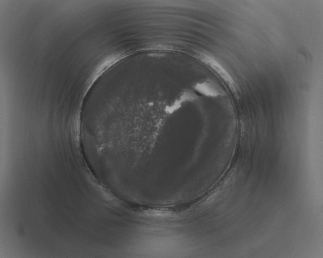 X0000116480994200912292042