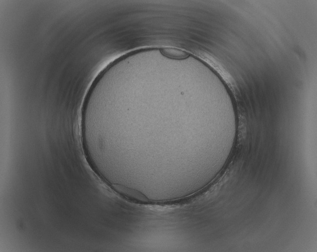 X0000116480996200912292042