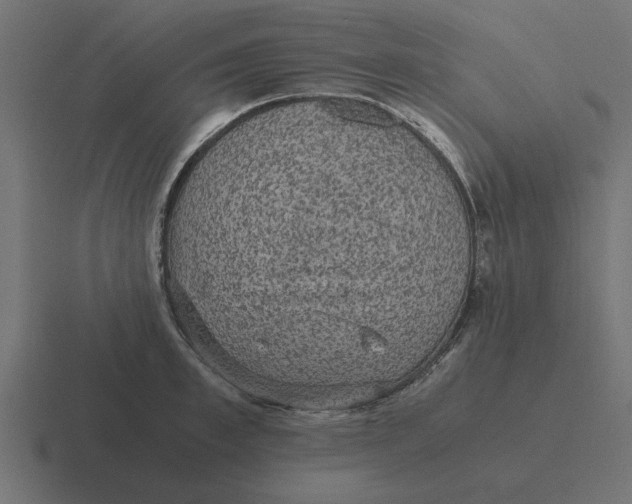 X0000116480997200912292042