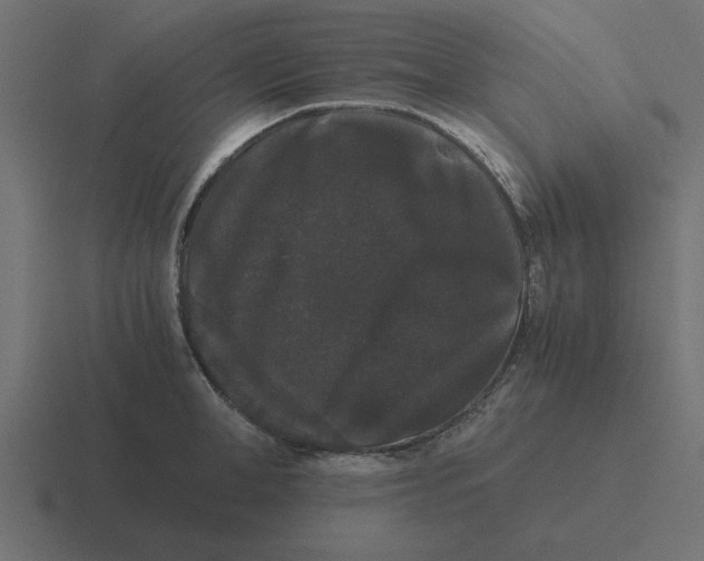 X0000116480998200912292042