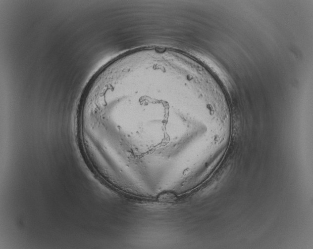 X0000116480999200912292042