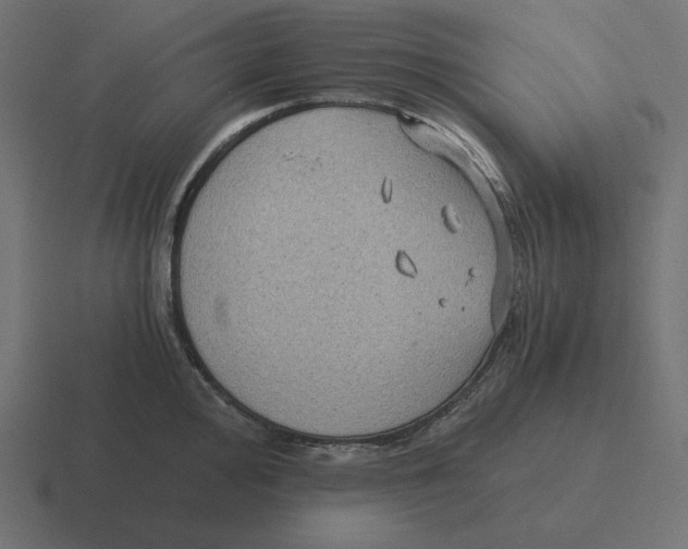 X0000116481000200912292042