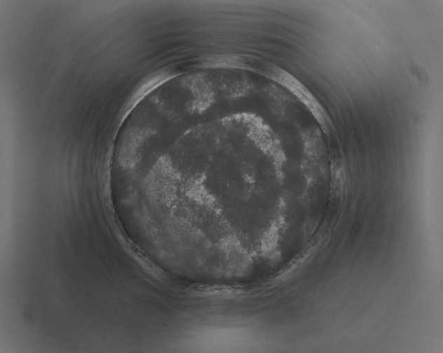 X0000116481002200912292042