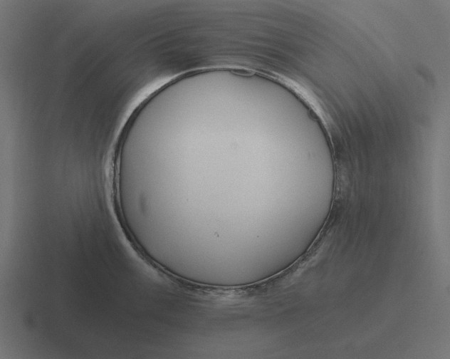 X0000116481003200912292042