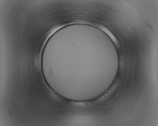 X0000116481004200912292042