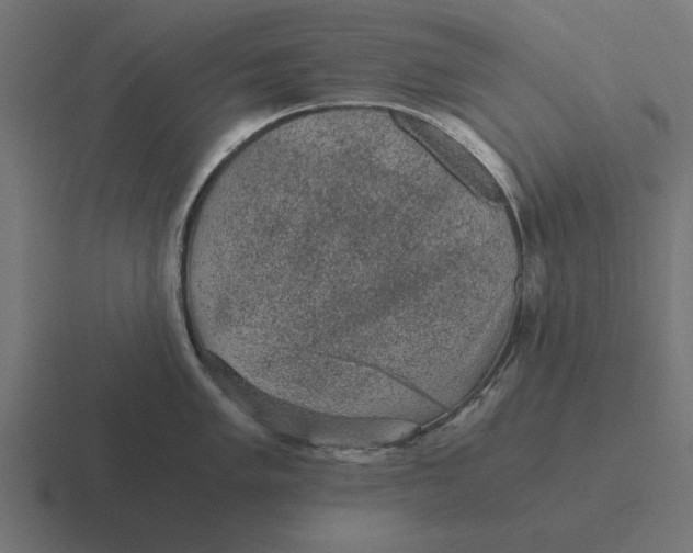 X0000116481005200912292042