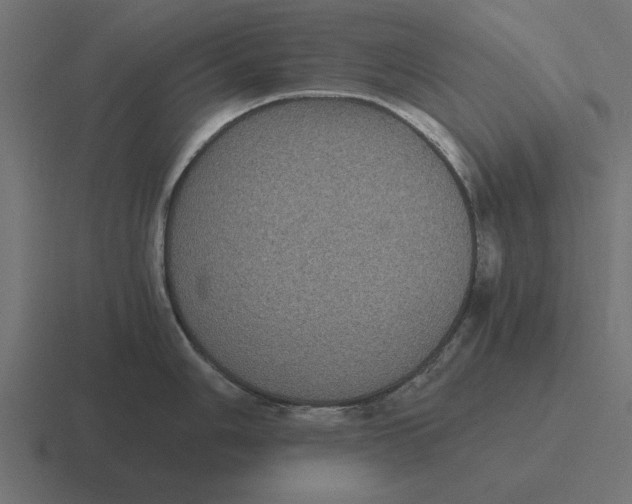 X0000116481006200912292042