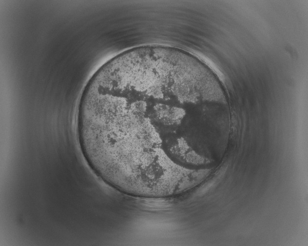 X0000116481007200912292042