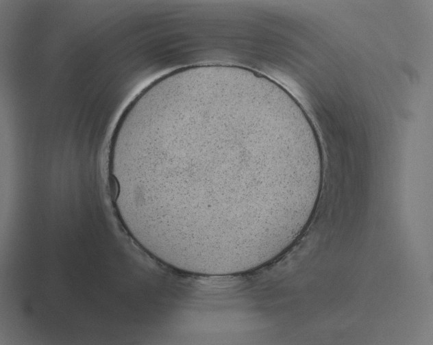 X0000116481008200912292042