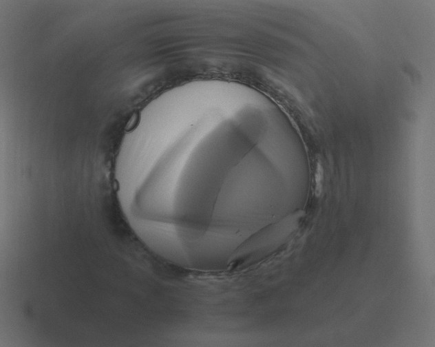 X0000116481013200912292042