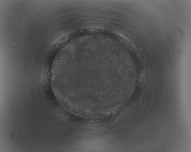 X0000116481014200912292042