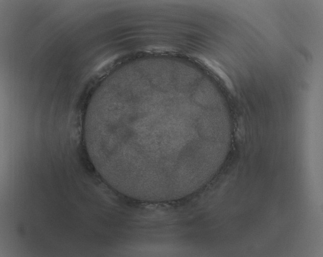 X0000116481015200912292042