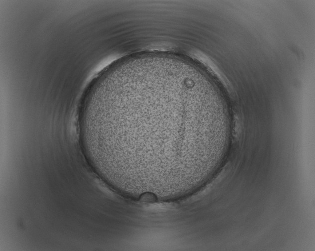 X0000116481018200912292042