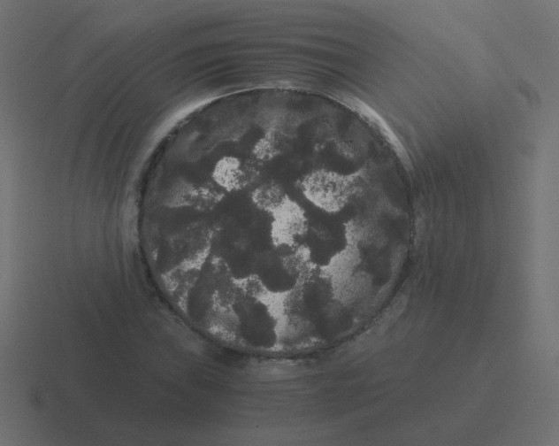 X0000116481019200912292042