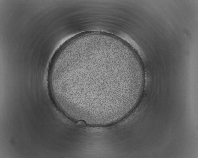 X0000116481020200912292042