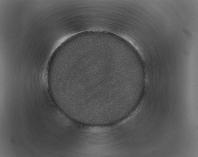 X0000116481022200912292042