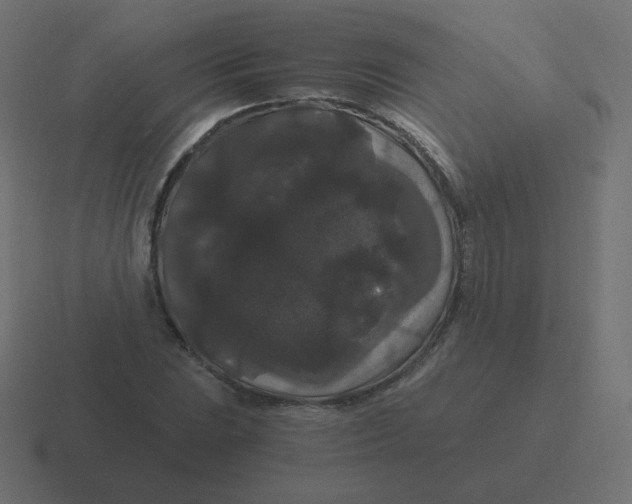 X0000116481023200912292042