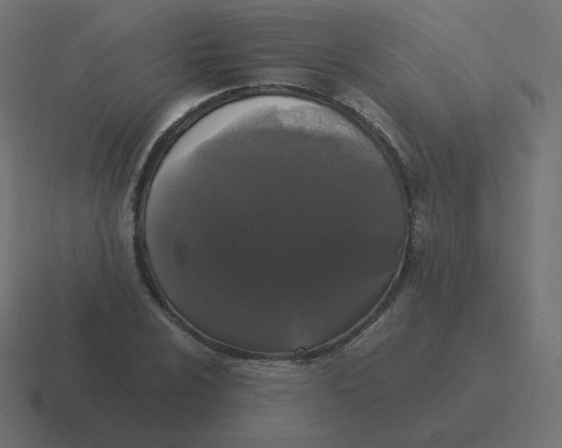 X0000116481024200912292042