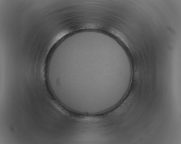 X0000116481026200912292042