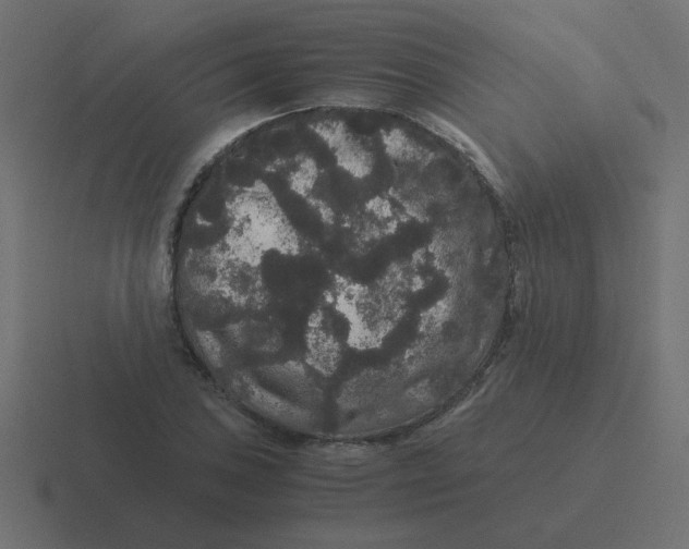 X0000116481027200912292042