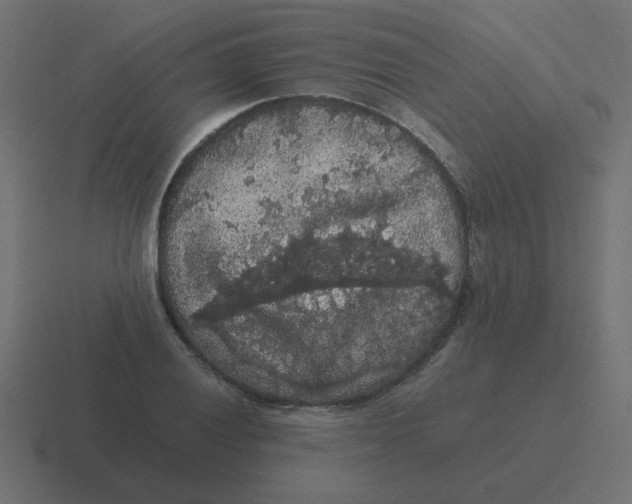 X0000116481028200912292042