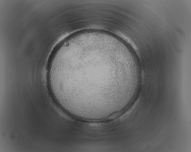 X0000116481029200912292042