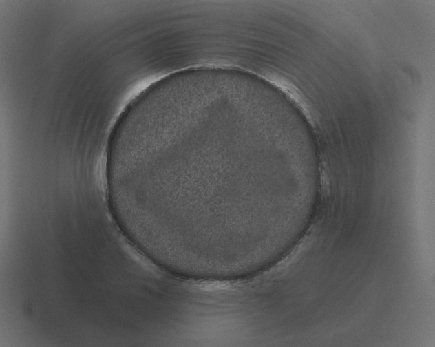 X0000116481030200912292042