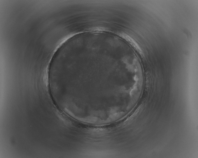 X0000116481031200912292042