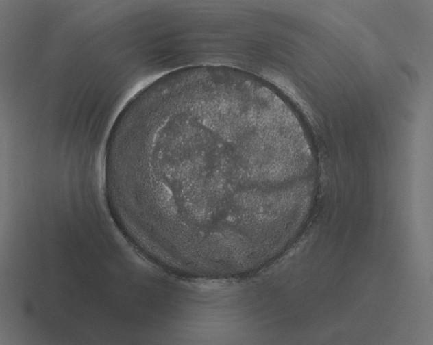 X0000116481032200912292042