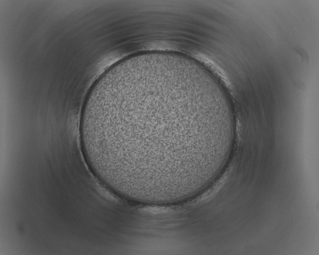 X0000116481033200912292042