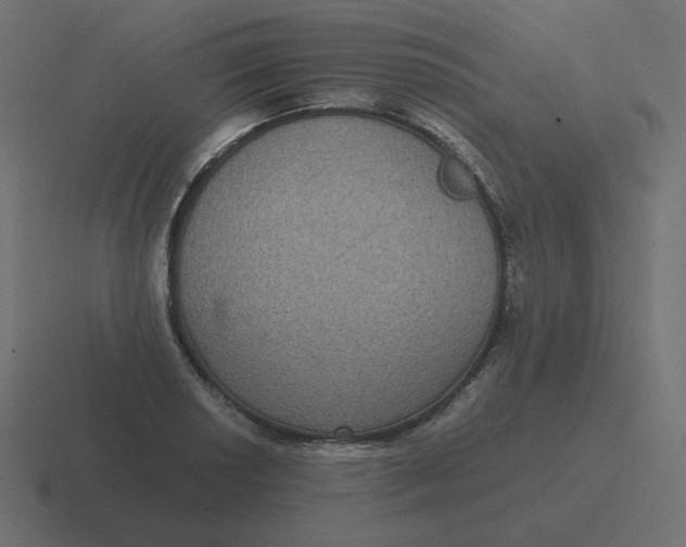 X0000116481034200912292042