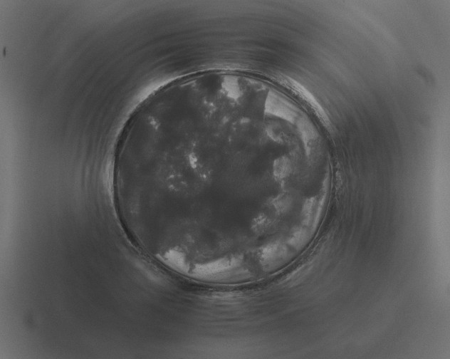 X0000116481035200912292042