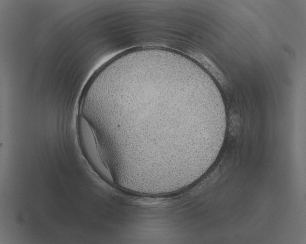 X0000116481036200912292042