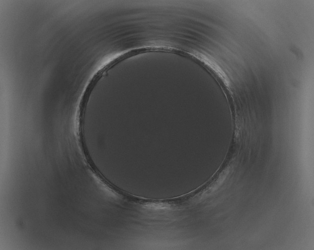 X0000116481037200912292042