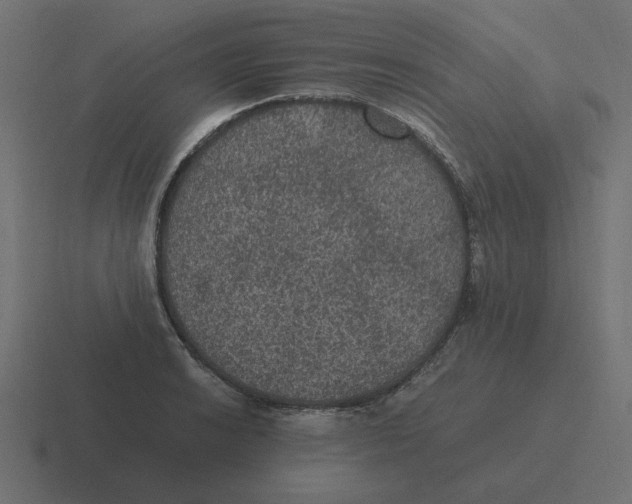 X0000116481038200912292042