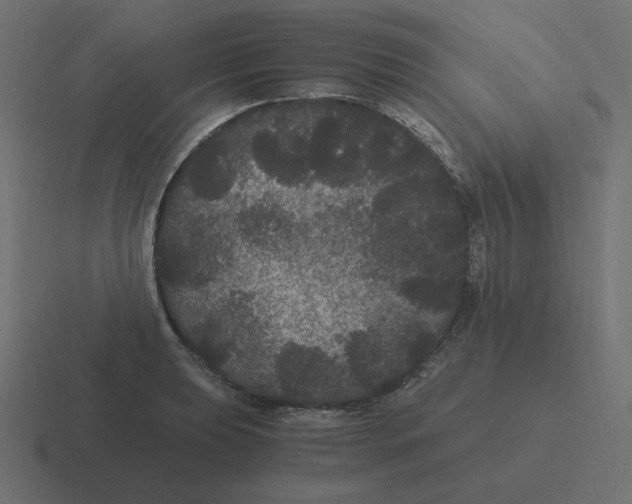 X0000116481039200912292042