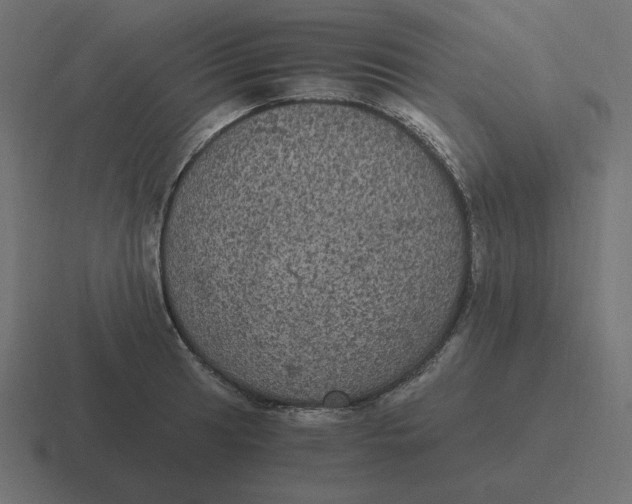 X0000116481041200912292042