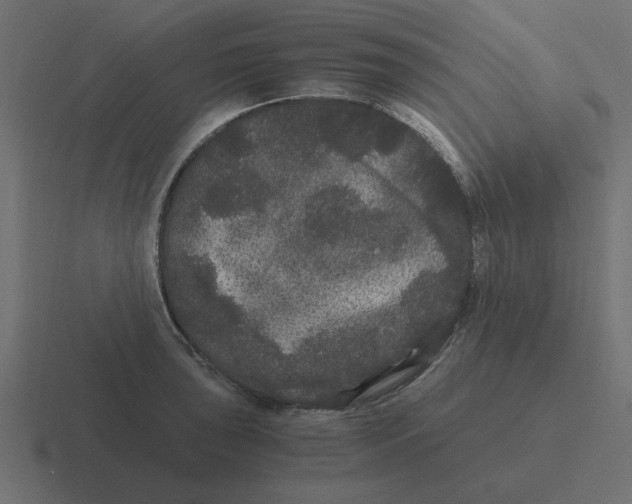 X0000116481043200912292042