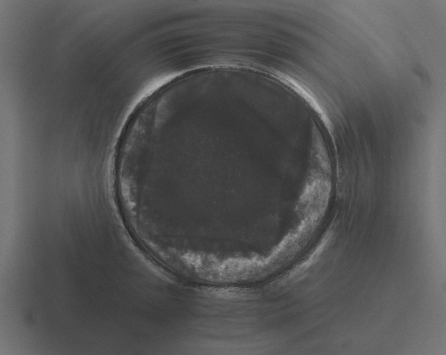 X0000116481045200912292042