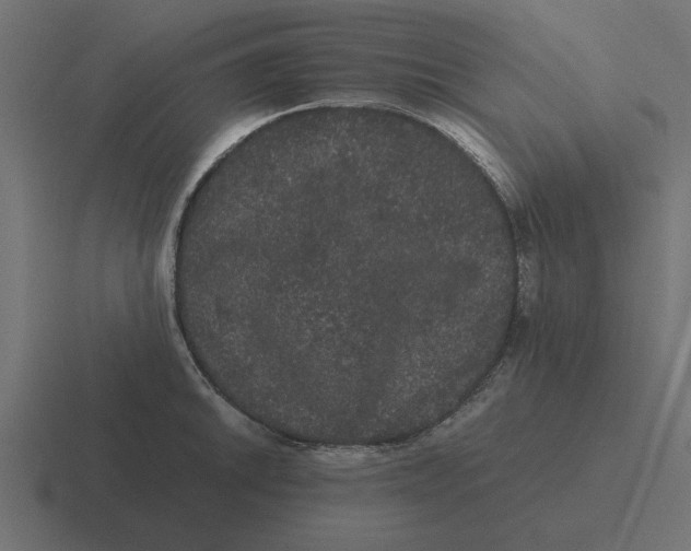 X0000116481046200912292042