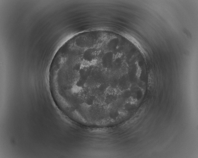 X0000116481047200912292042