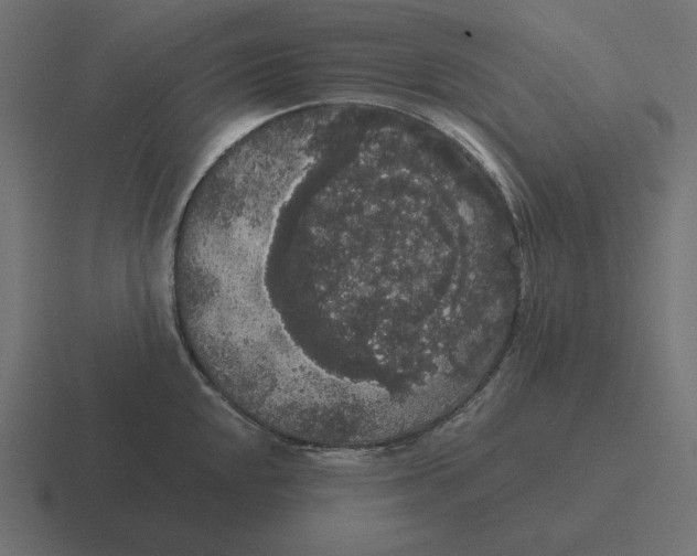 X0000116481048200912292042