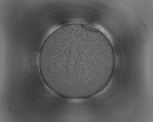 X0000116481049200912292042