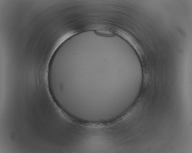 X0000116481050200912292042