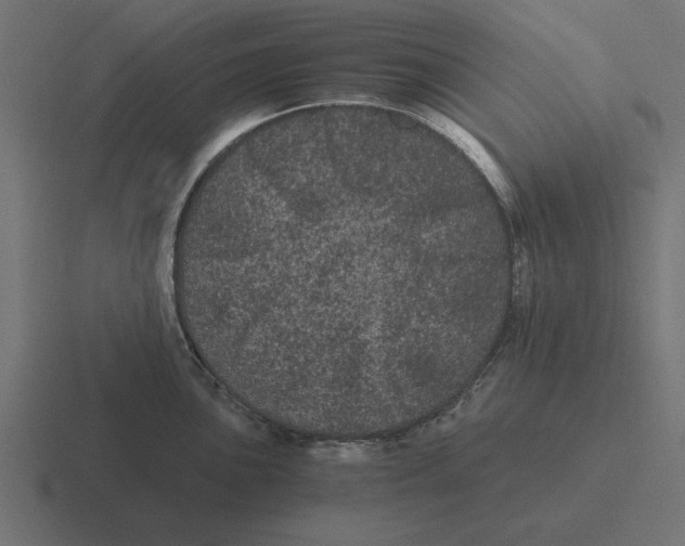 X0000116481051200912292042