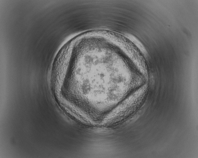 X0000116481052200912292042