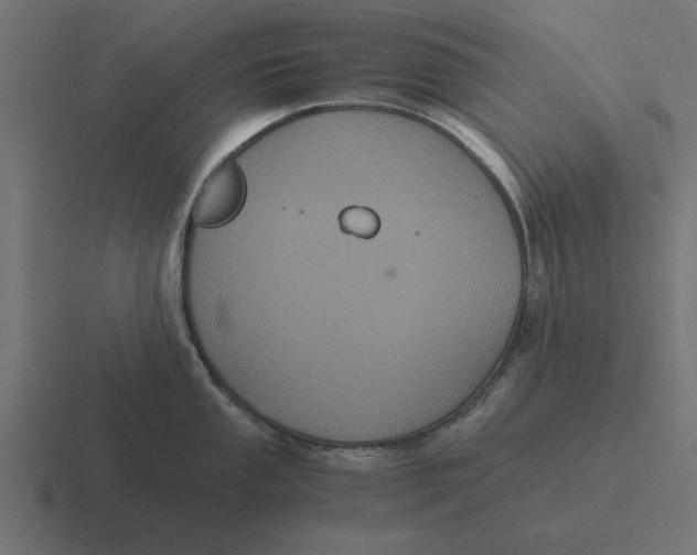 X0000116481053200912292042