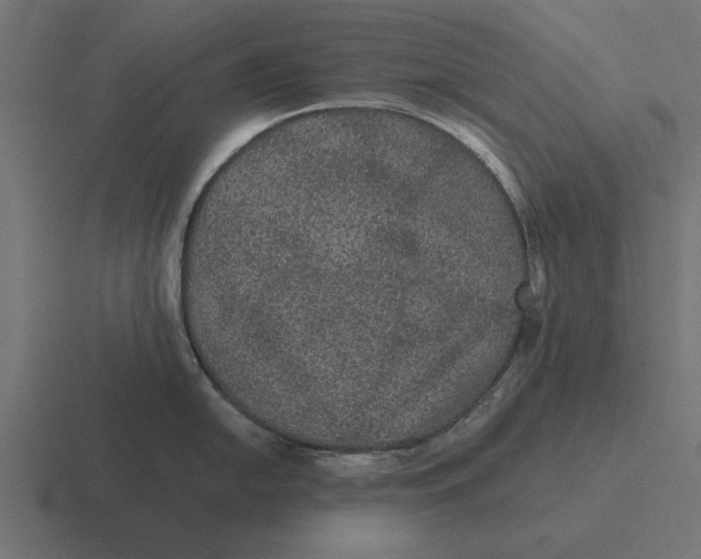 X0000116481054200912292042